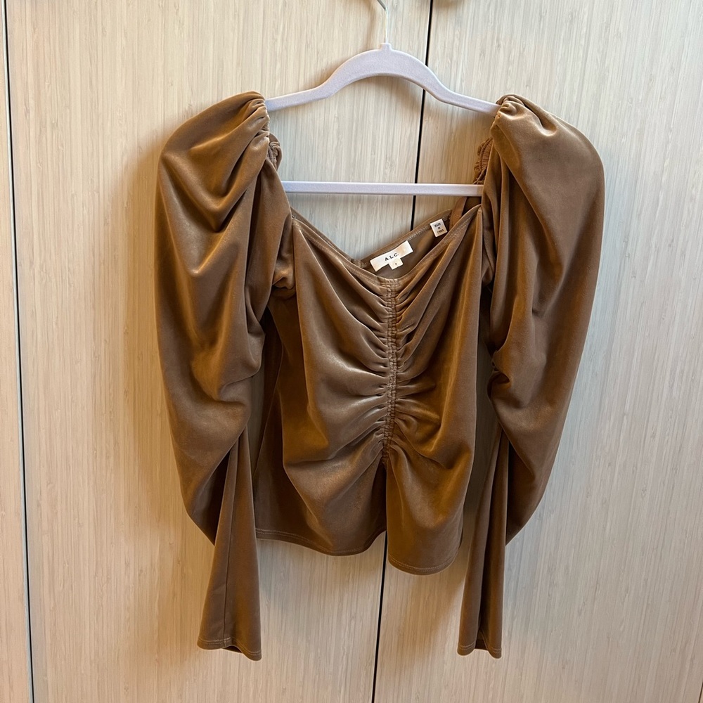 Velvet rouched princess sleeve ALC top